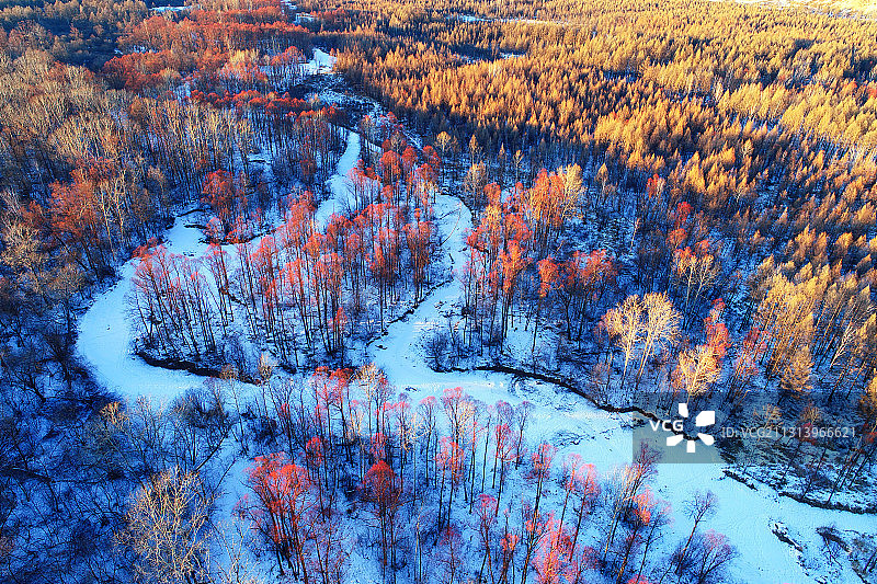 大兴安岭雪原冰河红柳风光图片素材