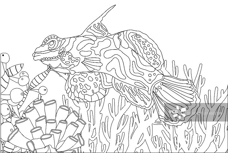 异国情调的鱼类抗压填色海洋图片素材