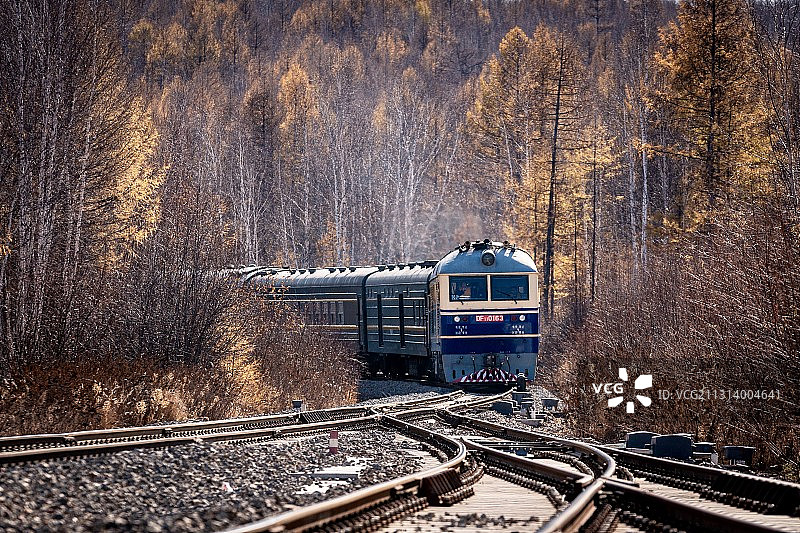 穿过兴安岭的秋天图片素材