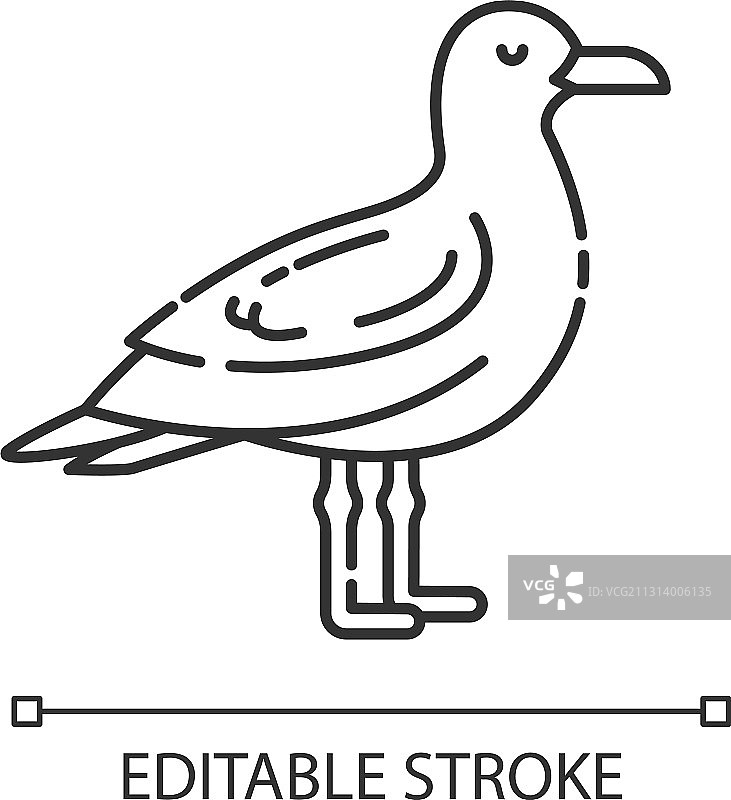 海鸥像素完美线性图标图片素材