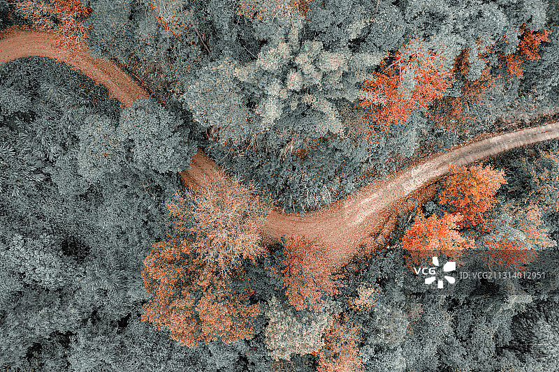 枫叶红了图片素材