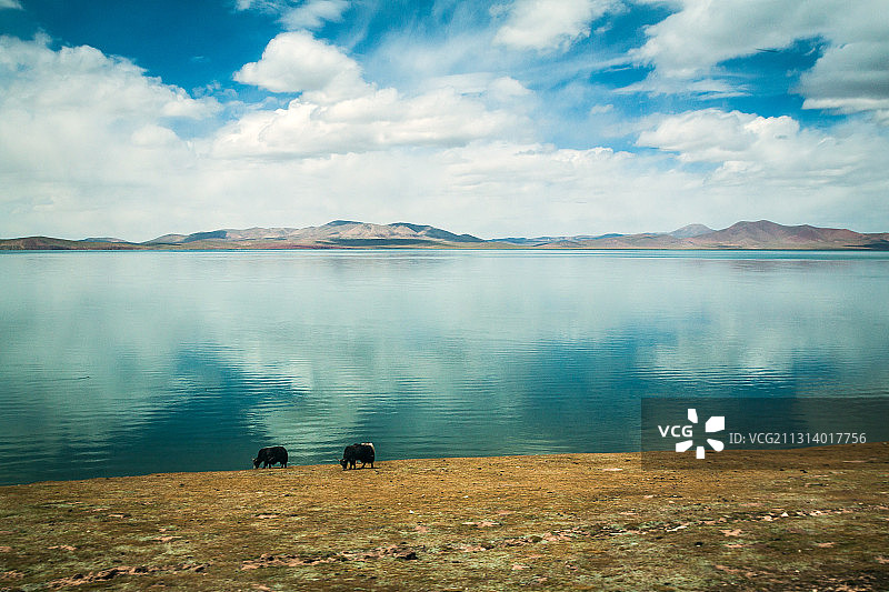 措那湖畔图片素材