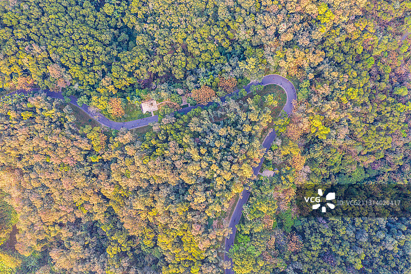 广东省深圳市福田区莲花山公园航拍风光图片素材