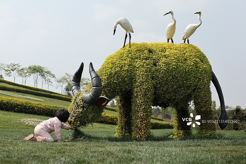 弥勒太平湖森林公园里水牛造型的园艺植物图片素材