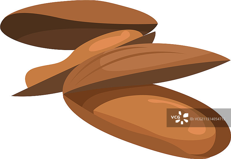 白色背景上的贻贝图片素材