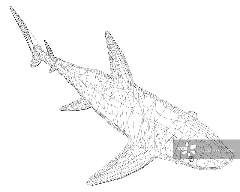 线框低多边形蓝色鲨鱼2.5D等距视图图片素材