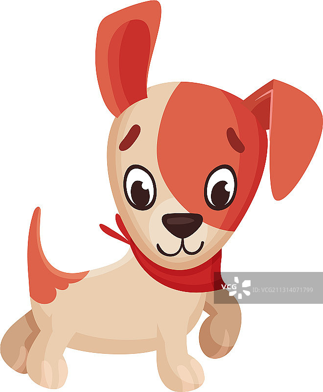 站立的杰克罗素梗犬图片素材