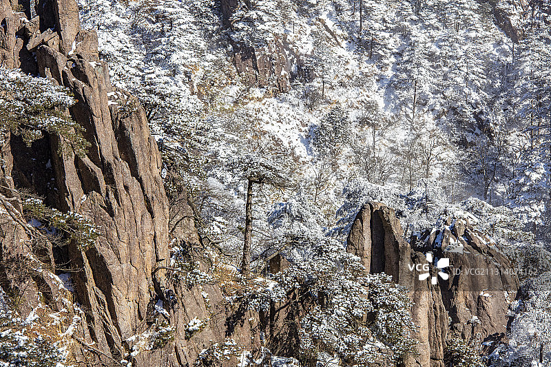奇松怪石雾凇云海仙境黄山迎客松雪景风光图片素材