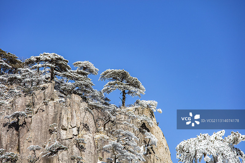 奇松怪石雾凇云海仙境黄山迎客松雪景风光图片素材