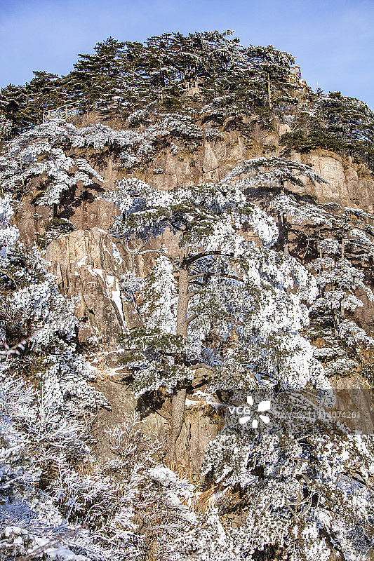 奇松怪石雾凇云海仙境黄山迎客松雪景风光图片素材
