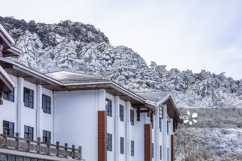 奇松怪石雾凇云海仙境黄山迎客松雪景风光图片素材