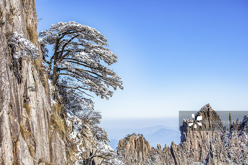 奇松怪石雾凇云海仙境黄山迎客松雪景风光图片素材