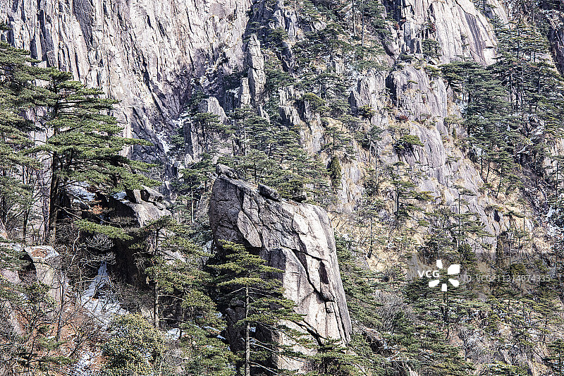 奇松怪石雾凇云海仙境黄山迎客松雪景风光图片素材