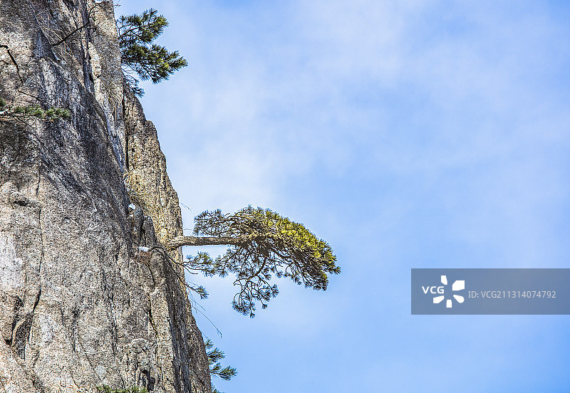 奇松怪石雾凇云海仙境黄山雪景风光图片素材