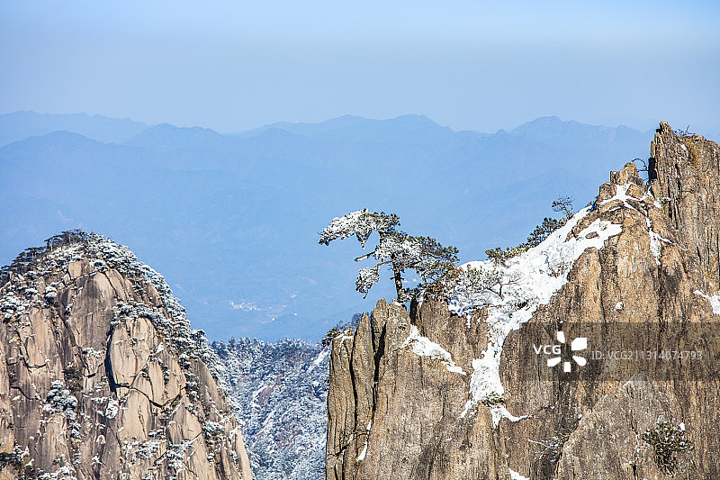 奇松怪石雾凇云海仙境黄山雪景风光图片素材