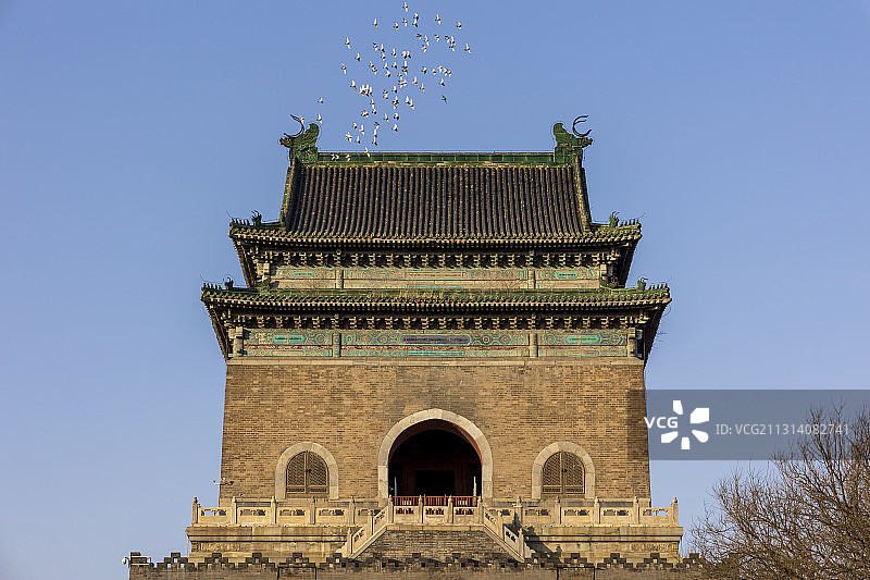 钟楼“舞”鸽！图片素材