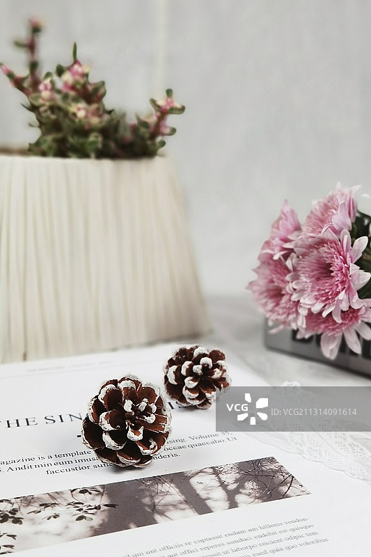 岁月静好图片素材