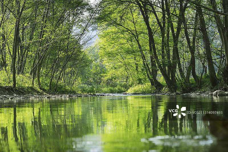 夏日寂静的湖北南漳县花庄镇山林和溪流图片素材