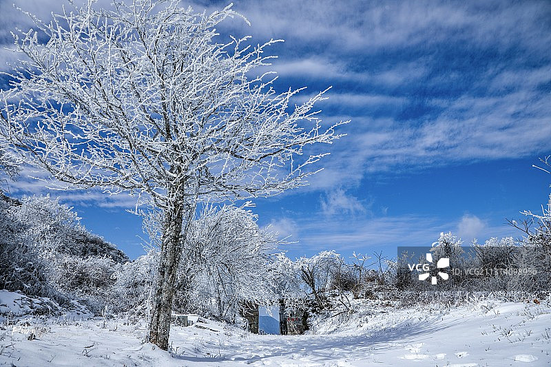 风雪岭阳关图片素材