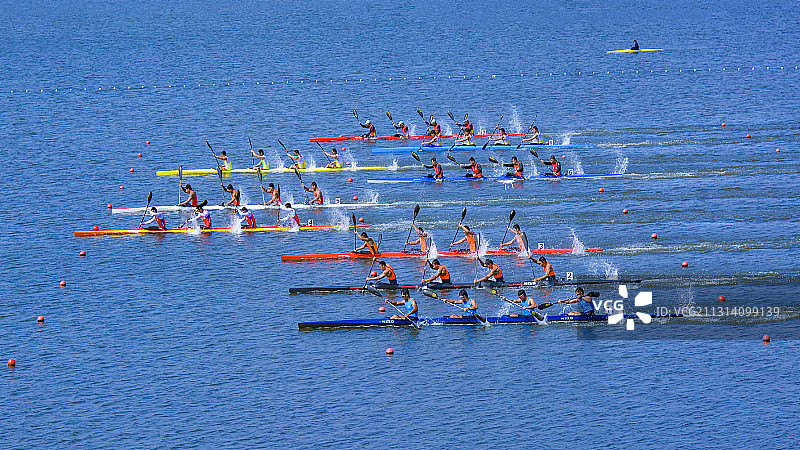 《孔雀开屏》图片素材