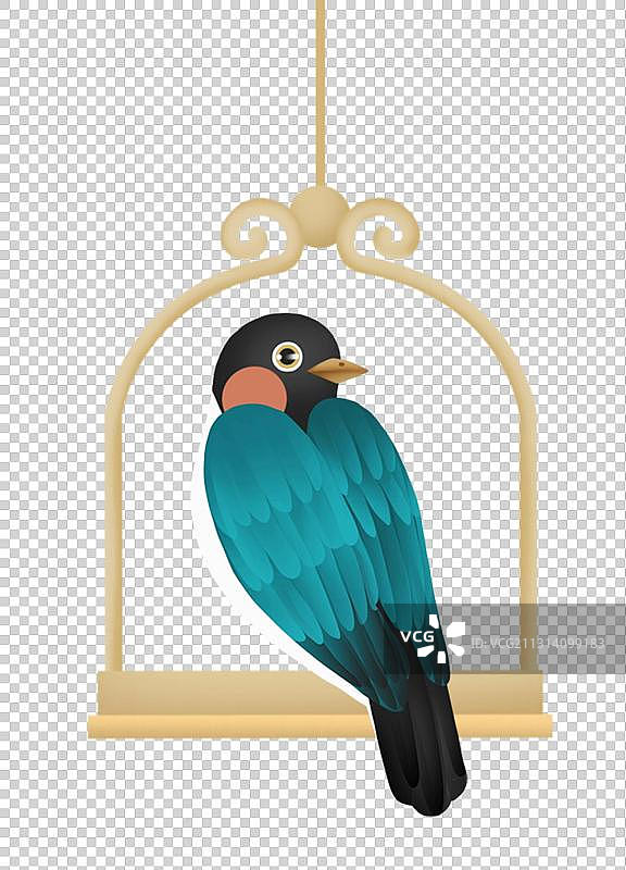 一只站在架子上的鸟图片素材