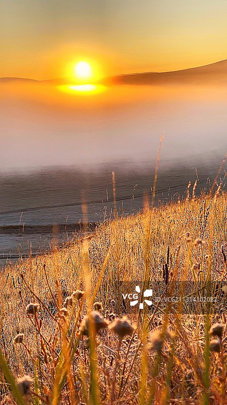 坝上草原图片素材