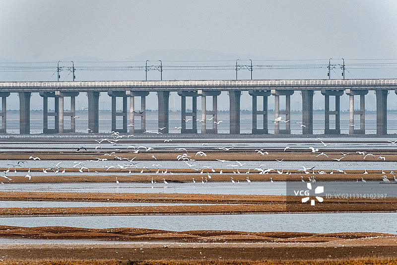 生态石臼湖图片素材