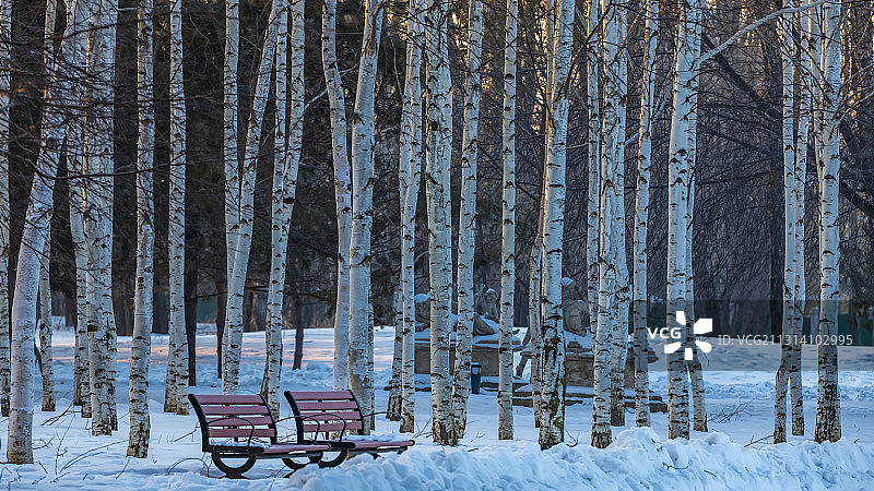 何日君再来图片素材