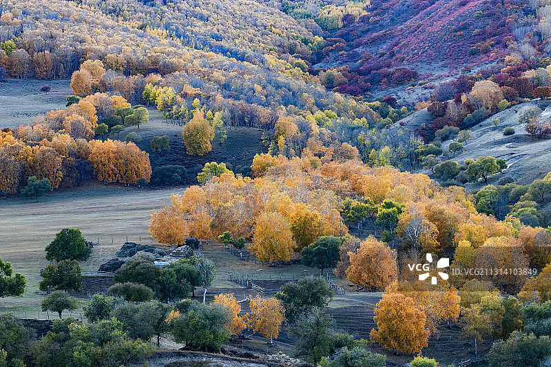 五彩金秋图片素材