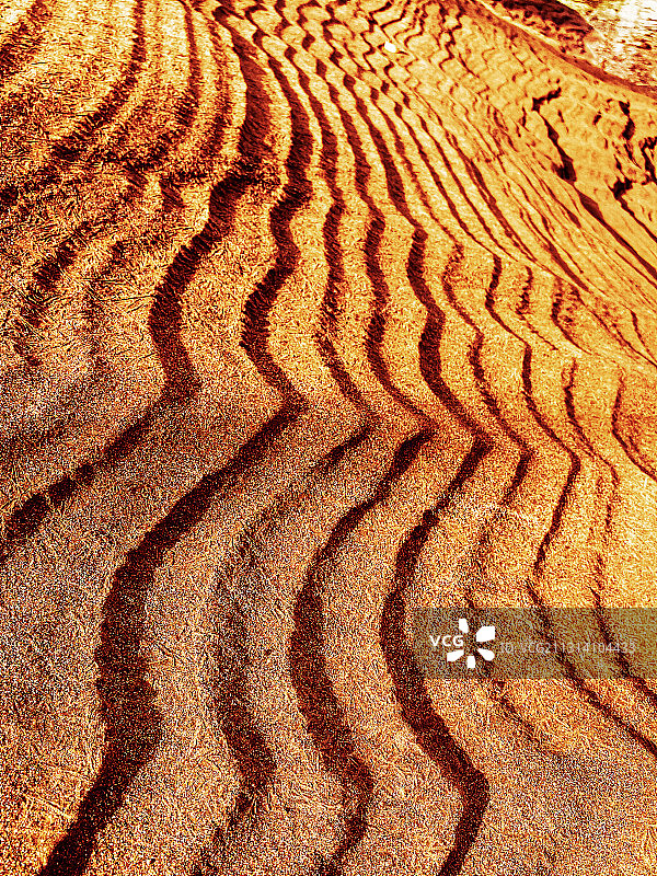 黄河边上2～图片素材