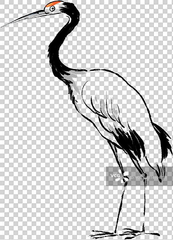 白鹤元素图片素材