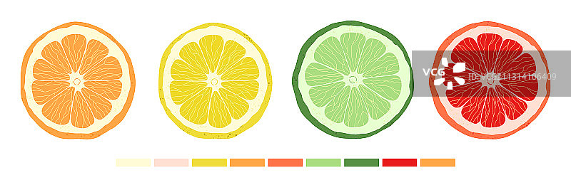 柑橘片青柠橙子葡萄柚套装图片素材