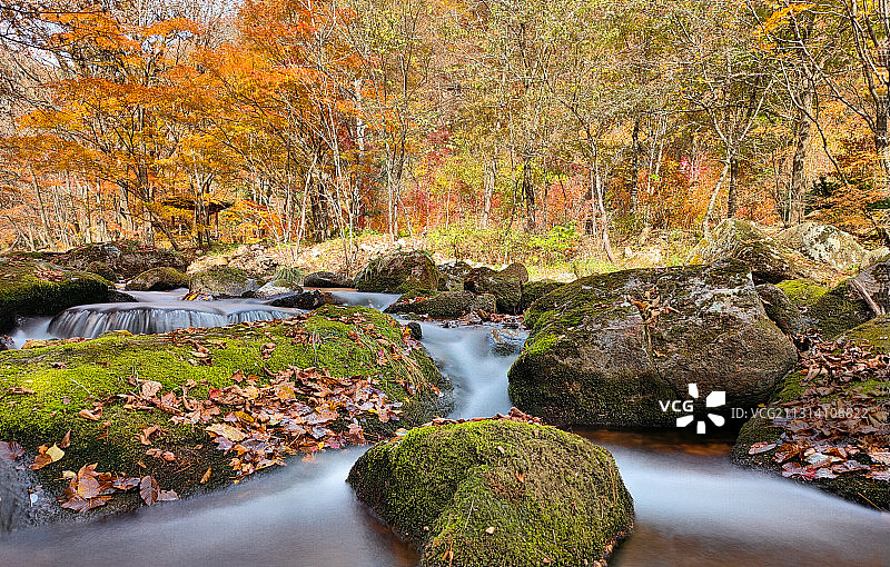 辽宁·丹东·关门山森林公园·溪间红叶 慢门摄影图片素材