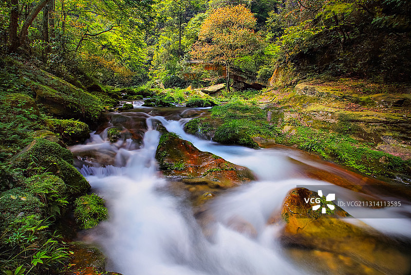 金鞭溪秋韵图片素材