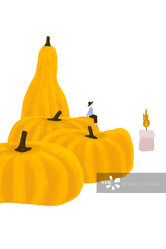 南瓜图片素材