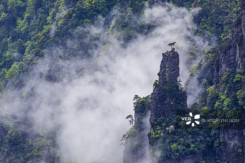 贵州铜仁，梵净山，云雾缭绕图片素材