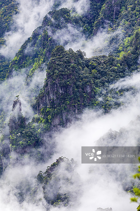 贵州铜仁，梵净山，云雾缭绕图片素材