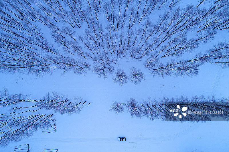 航拍冬季雪原水墨树林图片素材