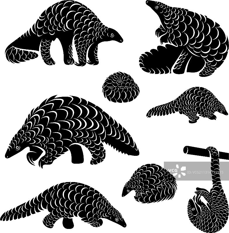 食蚁兽logo设计剪影合集图片素材