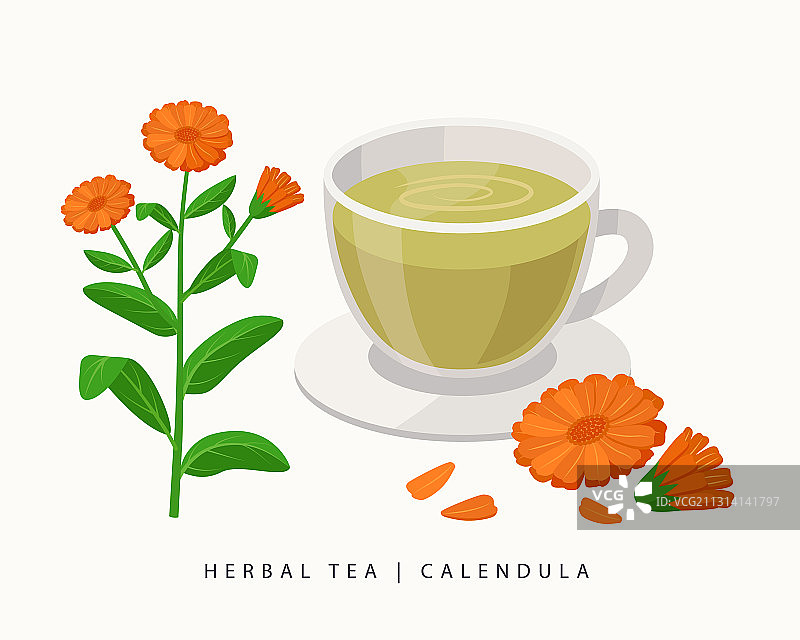 白色背景下分离的金盏花草药茶图片素材
