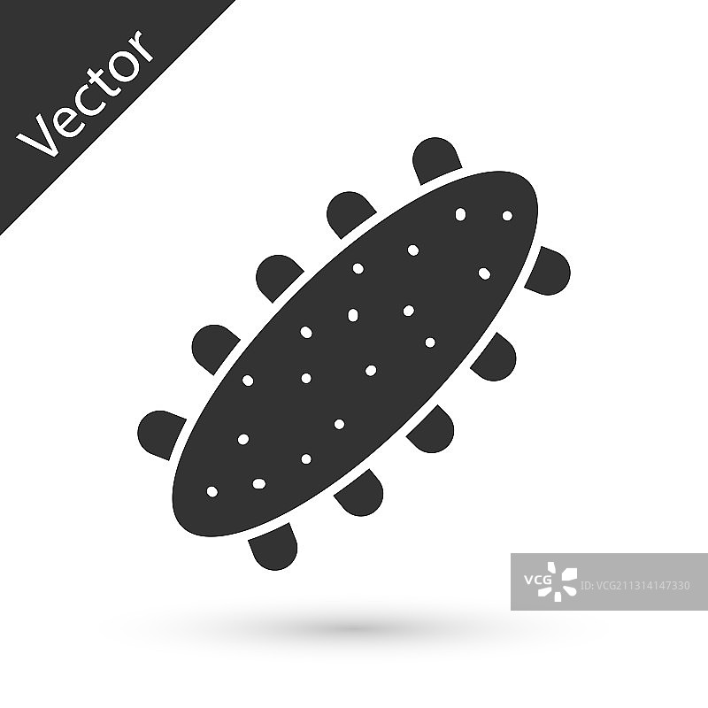 白色背景上隔离的灰色海参图标图片素材