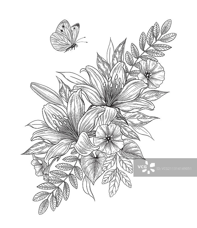 手绘百合花和飞舞的蝴蝶图片素材