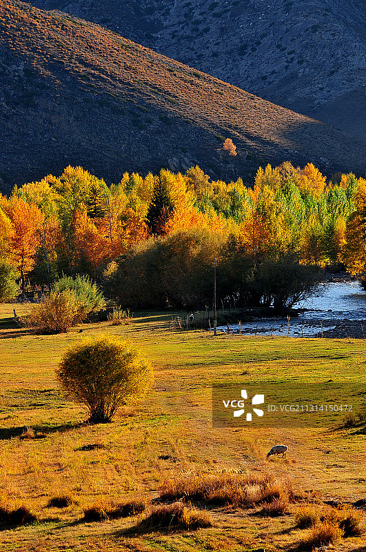 新疆可可托海风光图片素材