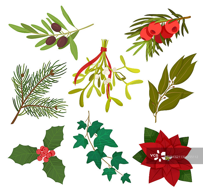 圣诞节日季植物图片素材