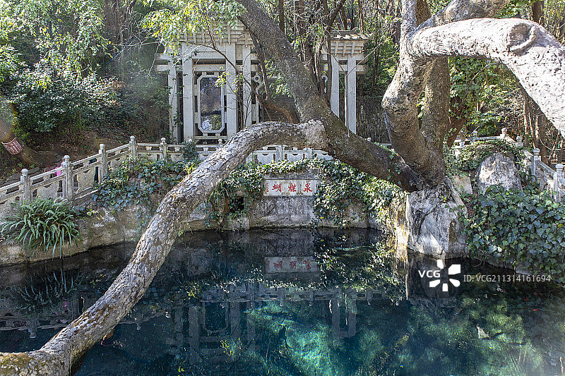 中国云南省大理市蝴蝶泉图片素材