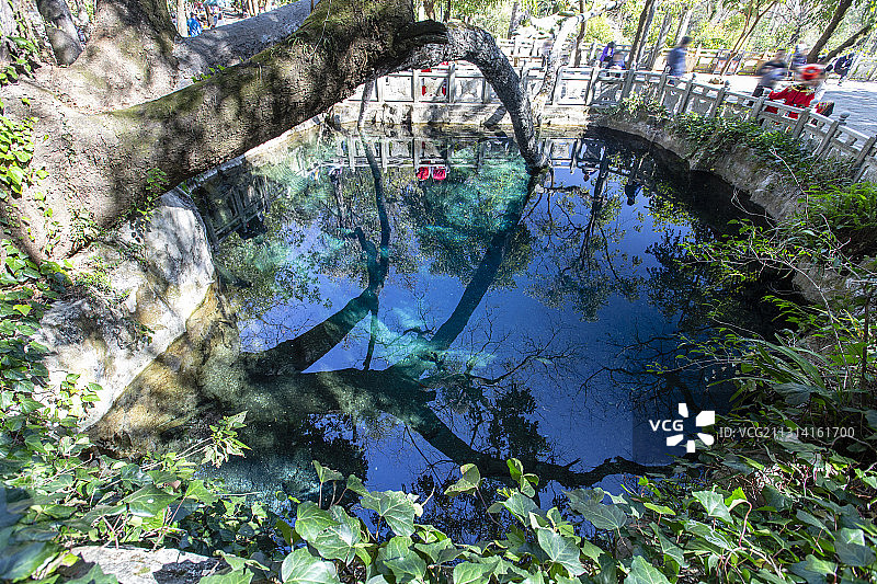 中国云南省大理市蝴蝶泉图片素材