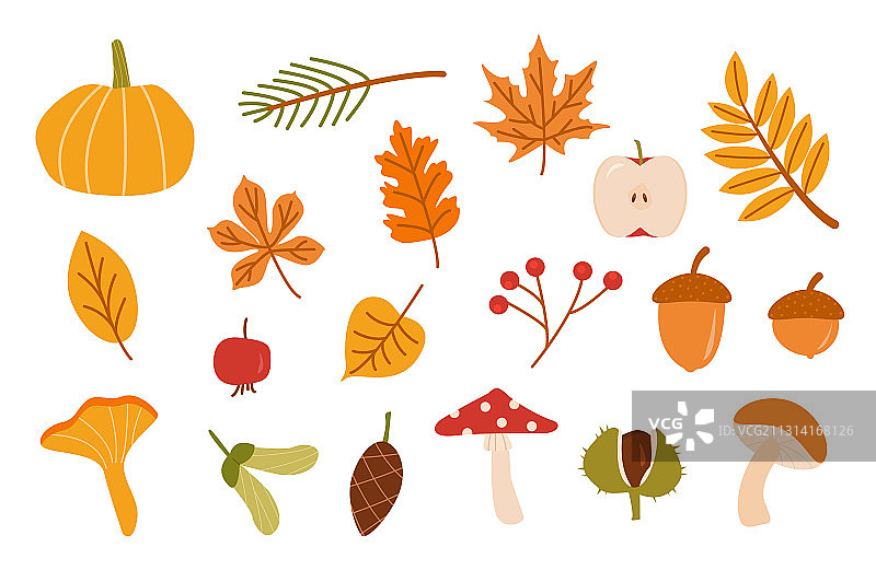 落叶秋日森林合集图片素材