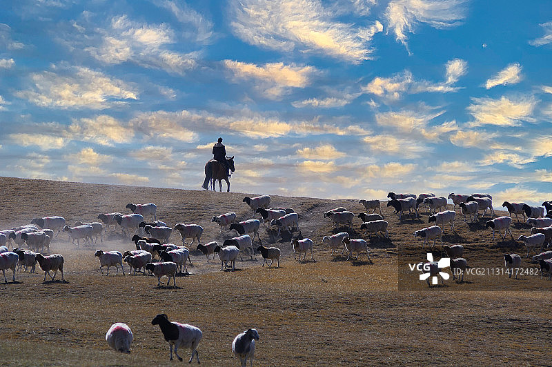 羊群与牧羊人图片素材