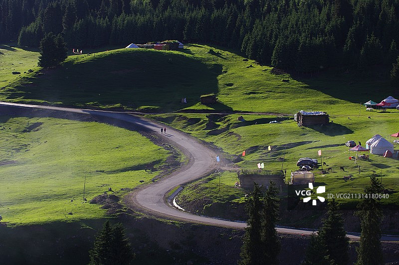 天山牧场夏季风光图片素材