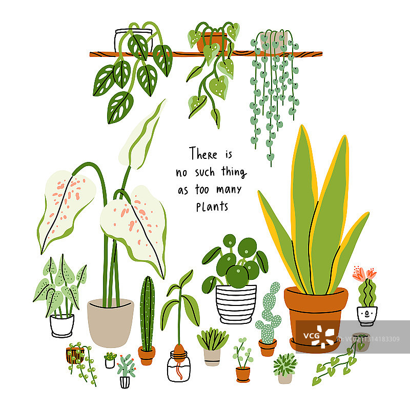 植物繁茂景色图片素材